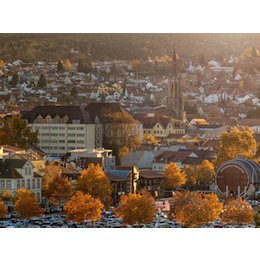 Herbstzauber: Stadtgeschichte, Zwiebelkuchen & Neuer Wein - Herbstzauber: Stadtgeschichte, Zwiebelkuchen & Neuer Wein in Bad Dürkheim