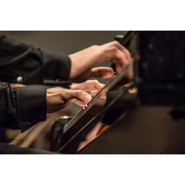 Musik im Fluss der Jahrhunderte in Pirna