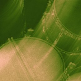 FLINTA* MUSIC LAB - DRUM WORKSHOP in Wiesbaden