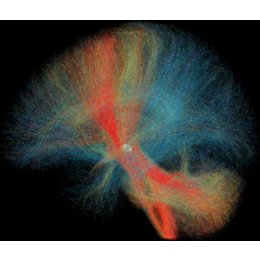 TOMORROW:jetzt - Urania und Berlin Brains on Tour: Stimulierte Wahrnehmung in Berlin