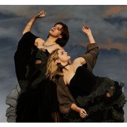 Charm of Finches: Wonderful Oblivion in Göttingen