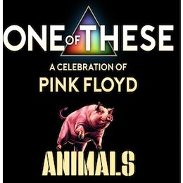 One Of These – A Celebration of Pink Floyd - Animals-Tour in Wissen