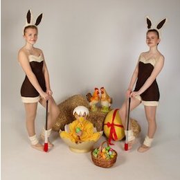 Die Häschenschule - Die Häschenschule in Köthen