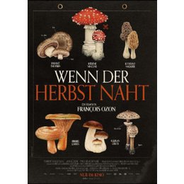 Kino im BAC: Filmkunst in Theateratmosphäre - Wenn der Herbst naht in Bad Arolsen