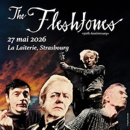 The Fleshtones + Guest in Strasbourg