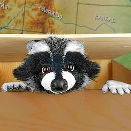 2025/26 - 2. Halbjahr - Kinderkultur - marotte Theater - Rocky Waschbär in Freiburg im Breisgau