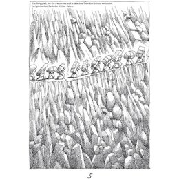 Papiervögel - Mana Neyestani in Stuttgart