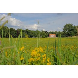 Erlebniswanderung durch die Obere Allerniederung bei Celle - Erlebniswanderung am Tag des Wanderns in Celle in Celle