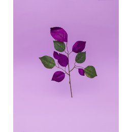 BLUTBUCH - Schauspiel nach dem Roman von Kim de l`Horizon in Berlin