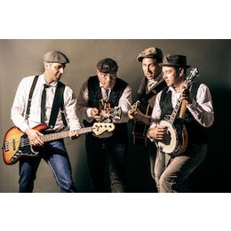 Sommernacht am Muldeufer in Dessau-Roßlau