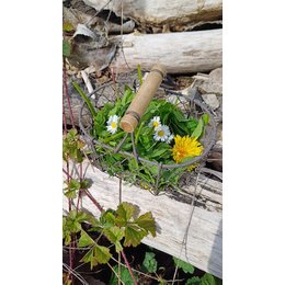 Stadtrundfahrten/-rundgänge - Erlebnistour