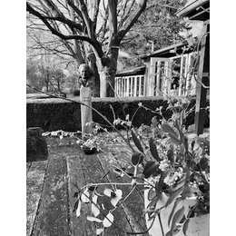 Jagdhornbläser im Arboretum Melzingen - Jagdhornbläser im Arboretum Melzingen in Schwienau