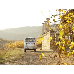 Fahrt in den Mai mit dem Bussl - Fahrt in den Mai mit dem Bussl in Bad Dürkheim