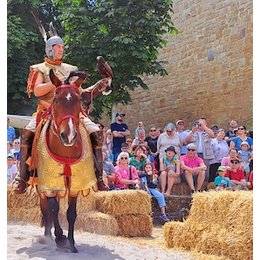 Römerfest Alzey 2026 - Eintrittskarte in Alzey