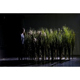 Hello to you from these places - Geografie der emotionalen Verletzlichkeit in Dresden