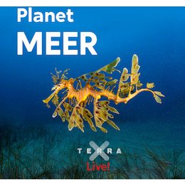 Fernweh Festival 2026 - Planet Meer - Terra X Live in Erlangen