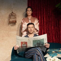 Der Sittich in Oberhausen