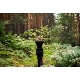 Stadtrundfahrten/-rundgänge - Erlebnistour