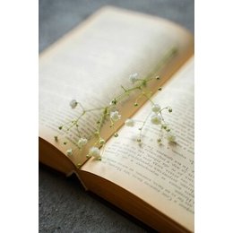 Lesungen - KlimaKultur: Ökopoesie - Welt retten mit Worten in Paderborn