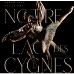 Notre Lac des Cygnes - Théâtre de Caen