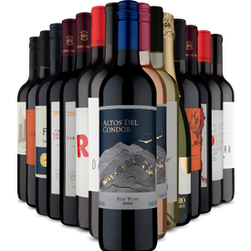 kit 15 tintos, refrescantes espumante 15 vinhos