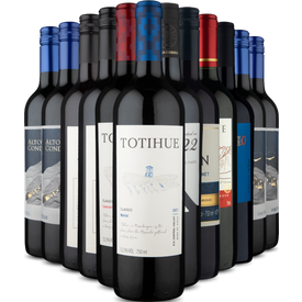 kit 12 festa tintos 12 vinhos