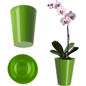 Doniczka na storczyka Cerda 13 cm, zielona