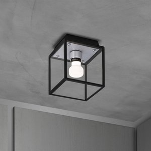 Buster + Punch Caged Wet Small IP44 steel