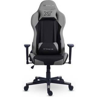 Cadeira Gamer XT Racer Defender NR17, Até 120kg, Com Almofadas, Reclinável, Descanso de Braço 3D, Preto e Cinza - XTR-032