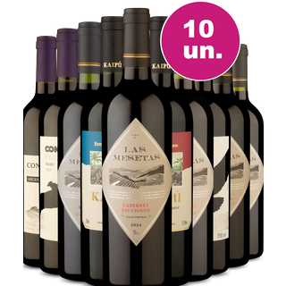 Kit 10 - Vinhos Tintos por R$ 25,90 por garrafa - Exclusivo We