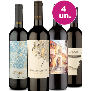 Kit 4 - Degustação de Tintos Mundiais - Oferta Absurda