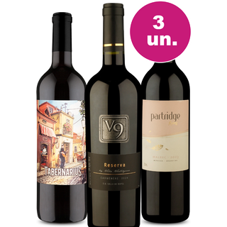 Kit 3 - Tintos Destaque por R$99 - Oferta Insana