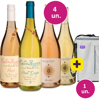 Kit 4 - Brancos e Roses Italianos + Bolsa para 3 garrafas Grátis - Exclusivo We