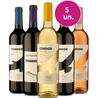 Kit 5 - Degustação Condor Peak - Exclusivo We