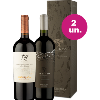 Kit 2 - Encontro Singular