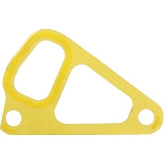 CNH Seal 131100060091