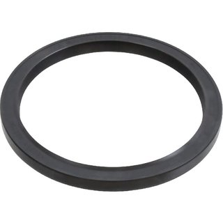 Massey Ferguson (AGCO) Shaft seal 1447691M1
