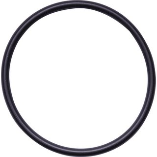 New Holland (CNH) Seal ring 14459080