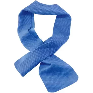 Ergodyne 12418 hand towel Blue 10.2 x 74.9 cm