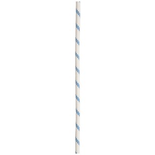 Climbing rope Edelrid Prostatic SyncTec 10,5mm