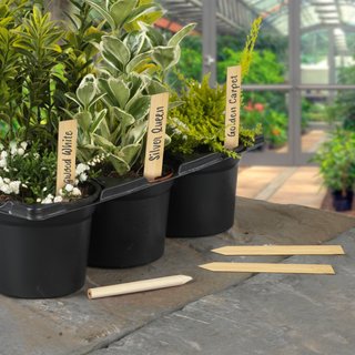 Ambassador Bamboo Plant Labels & Pencil 10 Piece AMBE6