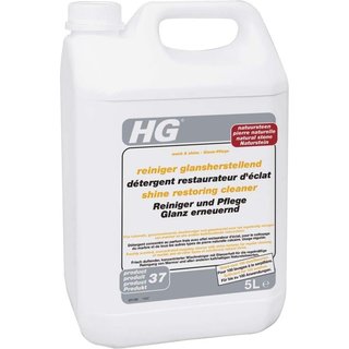 HG Shine Restoring Cleaner 221500100