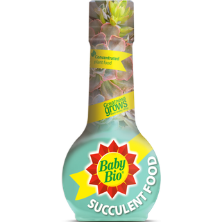 Baby Bio Succulent Plant Feed 86601743