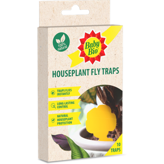 Baby Bio Houseplant Fly Traps 86601748
