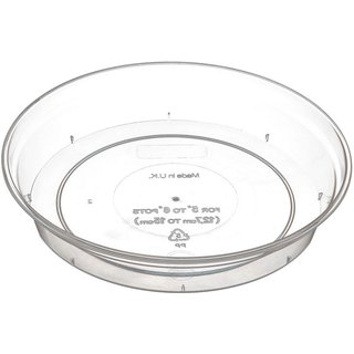 Stewart Saucer For Clear Pots 239041