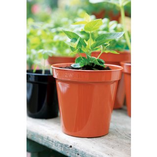 Stewart Flower Pot Terracotta 239045