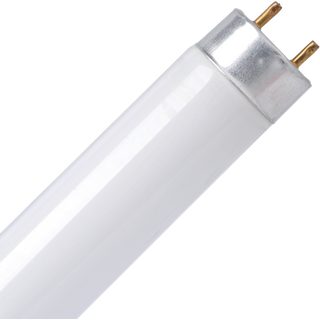 TCP LED T8 Tube Cool White TCALT8800WO2540N1P