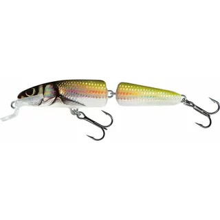 Floating lure fish Salmo fanatic