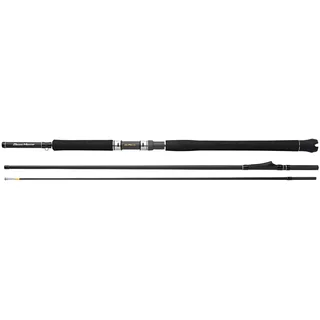 Cane Shimano Beastmaster CX Innerguide 100g