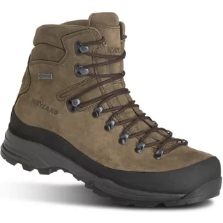Hiking shoes Kayland Globo GTX
